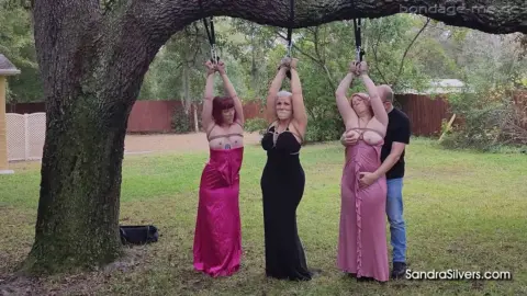 Sandra Silvers, AJ Marion and Ami Mercury – Tree-Tied Trio’s Torn Gown